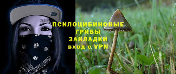 прущая мука Бородино