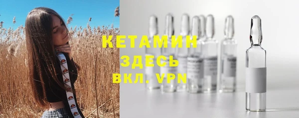 ешки Новодвинск