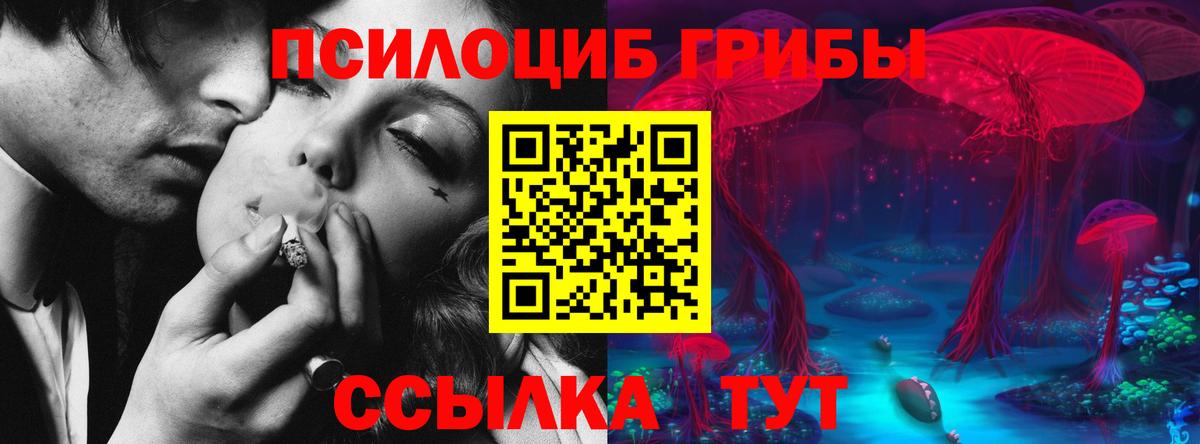 Горно-Алтайск  Галлюциногенные грибы Psilocybine cubensis  что такое наркотик  Вход с VPN  Псилоцибиновые грибы Cubensis 