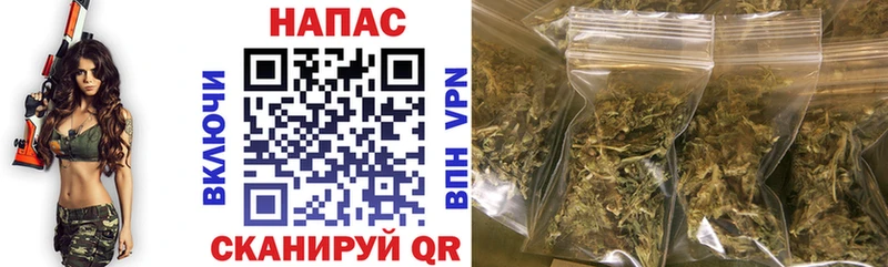 продажа наркотиков  Горно-Алтайск  hydra ссылка  Канабис планчик 